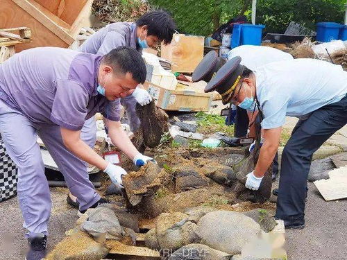 润联物业丨 新时代 新担当 深耕一线 攻坚克难 众志成城 只为 您